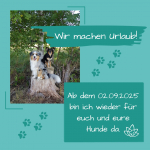 Sommerurlaub 2025