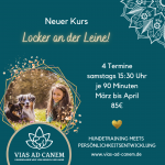 Neuer Kurs
