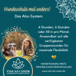 Für die Teilnahme an Gruppenstunden benötigst du ein Monatsabo.